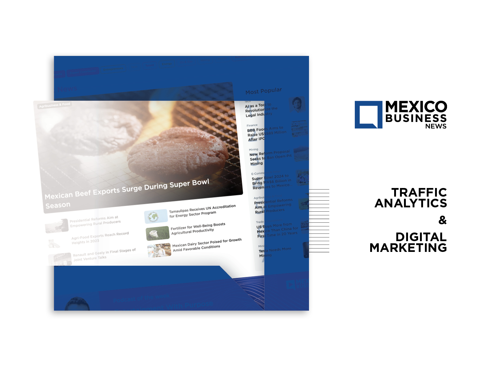 Mexico Business News - Traffic Analytics & Digital Marketing
