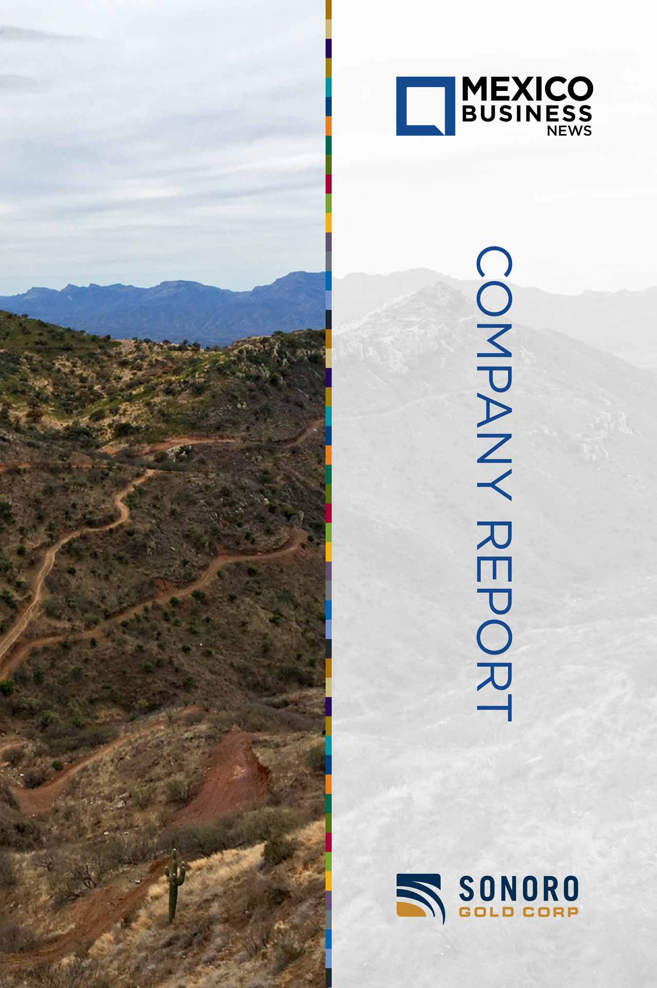 Sonoro_Gold-2024-ContentMarketingReport-Cover